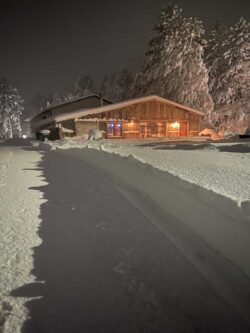 Winter Entertainment
